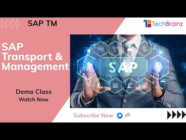 SAP TM on HANA Demo by TechBrainz