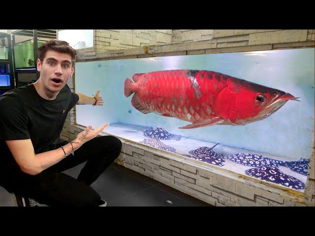 $30,000 FISH!! - Inside Singapore's *LARGEST* Arowana + Stingray Breeder...