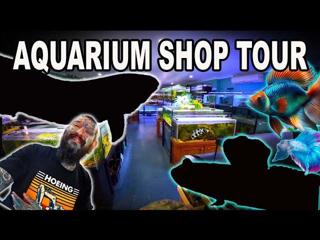 Aquarium Store Tour ~ Paul's Aquariums Brisbane ~ Mudskippers + 1000's of Tropical Fish!