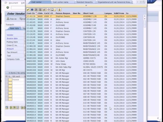 SAP Financial Accounting