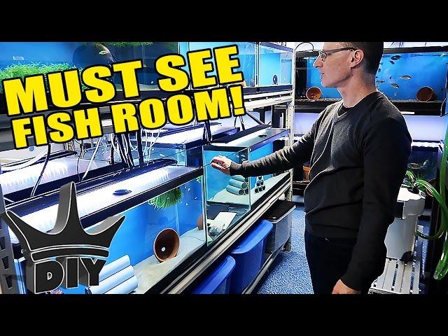 The DOUBLE FISH ROOM tour!!