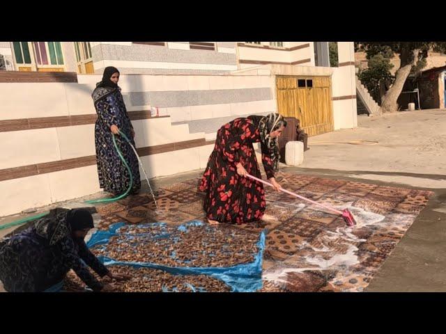 Nomadic Life: Washing the Kitchen and Daily Life of Iranian Nomads