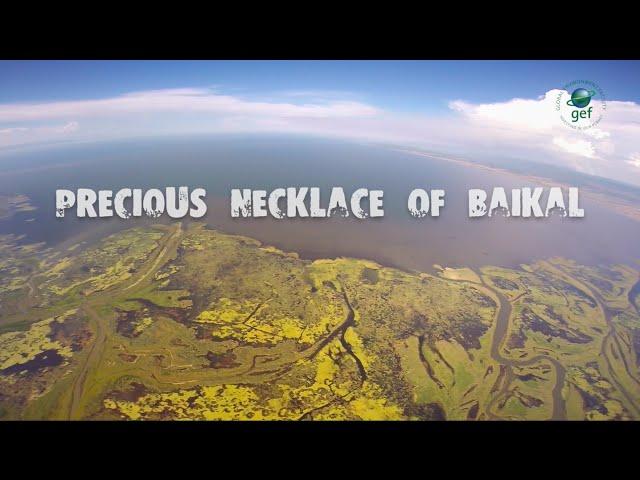 Precious Necklace Of Baikal