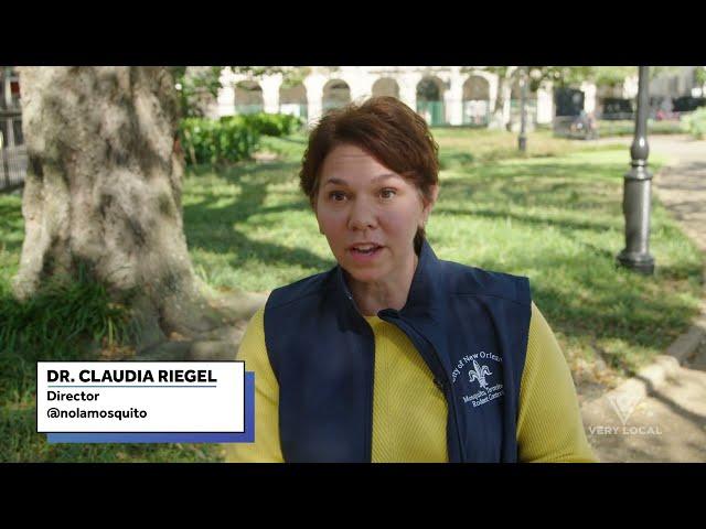 Protecting NOLA's Historic Buildings and Trees from Unseen Enemies