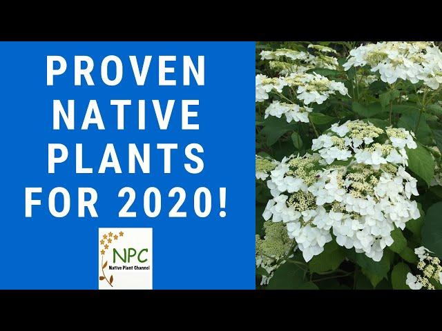 Native plants to grow in 2020: Tested and Proven!