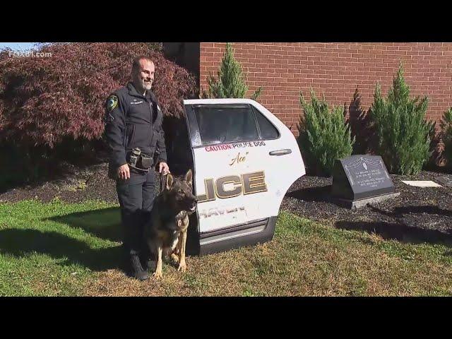 East Haven K9 Ace retires after 8 years in service