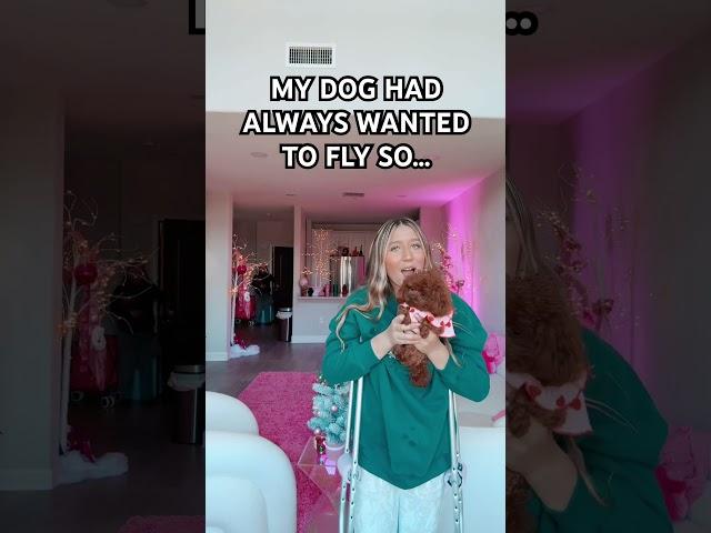 SHE FLEW!! #viralvideo #funny