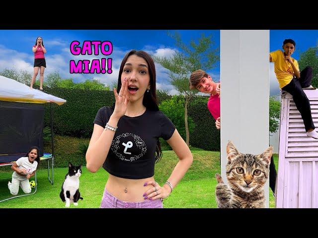 QUAL GATO SE ESCONDE MELHOR? GATO MIA EXTREMO COM MEUS AMIGOS | Luluca