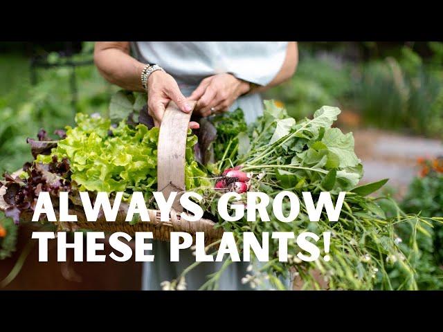 10 Plants ANYONE Can Grow: Kale, Parsley, Sage, Basil, Beans, Lettuce, Arugula, Chives, & More!