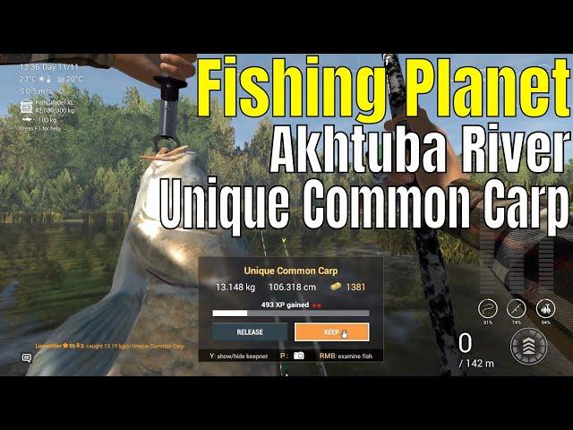 Fishing Planet | Akhtuba River, Unique common carp