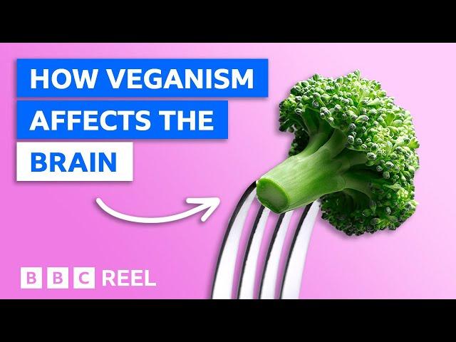 How a vegan diet affects your brain – BBC REEL