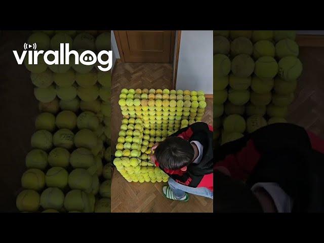 DIY Tennis Ball Chair || ViralHog