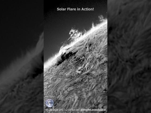 Epic Solar Flare on the Solar Limb! Seen Through My Telescope #astronomy #space #solarsystem