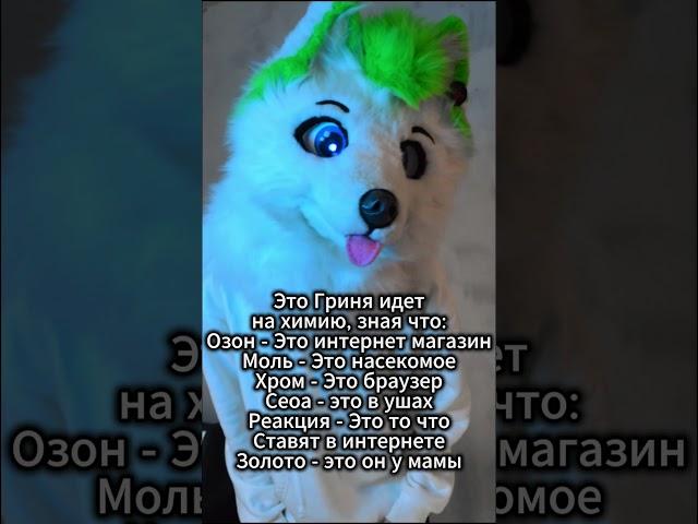Сдам на 5 #курган #grinya #гриня #фурри #kurgan #furries #fox #antifurry #антифурри