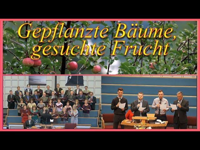 Gepflanzte Bäume, gesuchte Frucht - Gemeinde Gottes Edmonton - 20241103