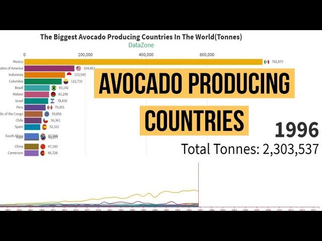 Largest Avocado Producing Countries In The World | 1961-2018 | 