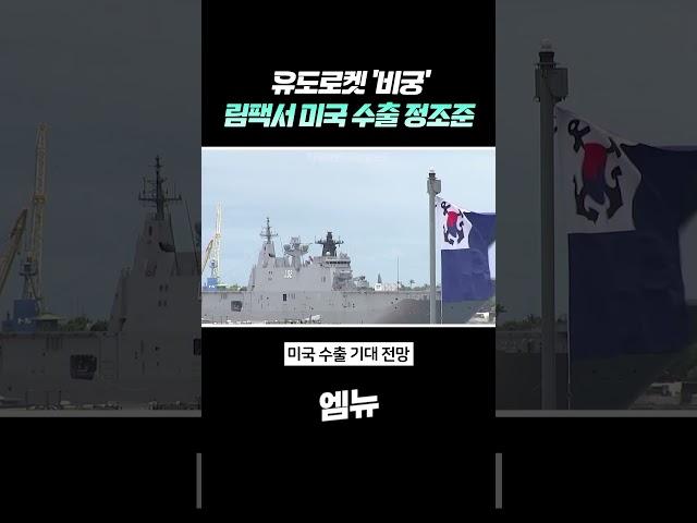 유도로켓 '비궁' 림팩서 미국 수출 정조준