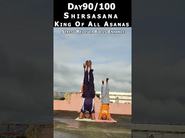 YogaSelfChallenge Day90| KungFu vs Yoga | SIRSASANA