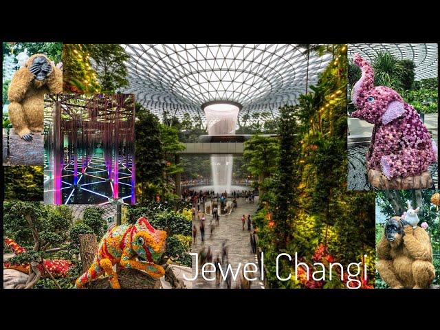 Discover Changi: Best things to do in Jewel Changi airport,Singapore| World's best airport full tour