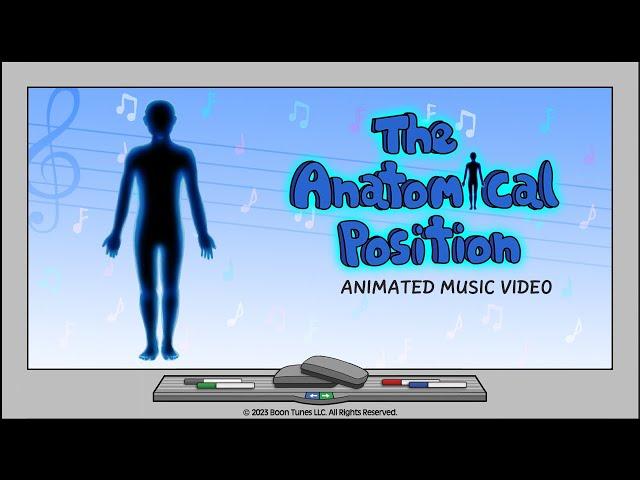 The Anatomical Position | Body Planes & Directional Terms | Animated Music Video |