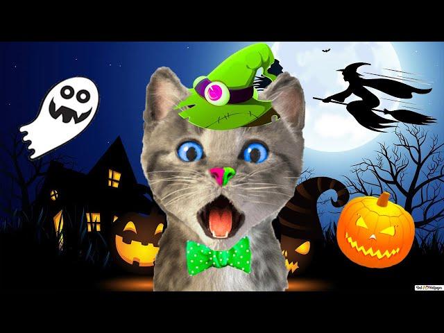 little kitten adveture and super halloween adventure - happy kitty and animal friends