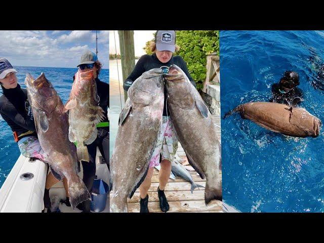 GIANT Black Groupers in the BAHAMAS on POLESPEAR - Episode 28