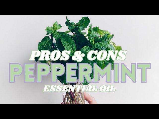 3 pros 3 cons peppermint essential oil | Torey Noora