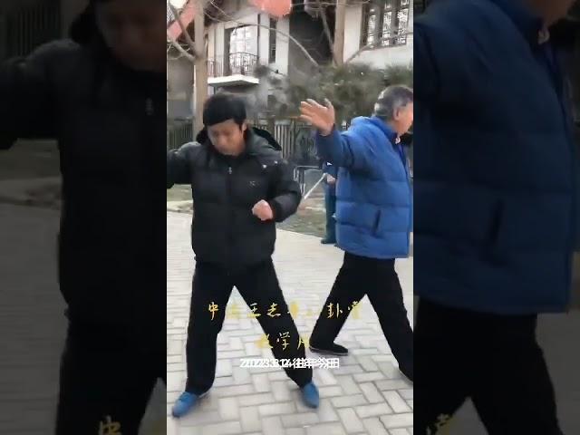 中国王志平八卦掌