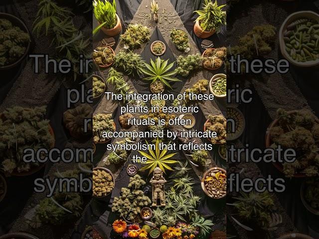 The Esoteric Symbolism of Sacred Plants