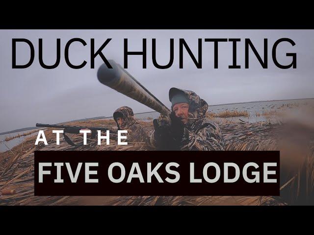 DUCK HUNTING at the FIVE OAKS LODGE with MARK GREGSTON