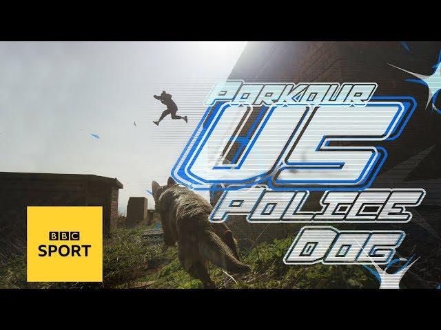 Parkour Athlete vs Police Dog: Joe Scandrett vs Kelly the police dog | Versus: Ep 4 | BBC Sport