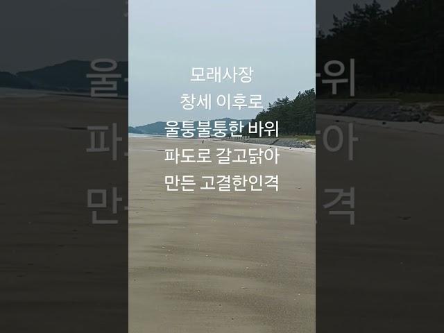 모래사장3 최길용 신안증도 짱뚱어해변