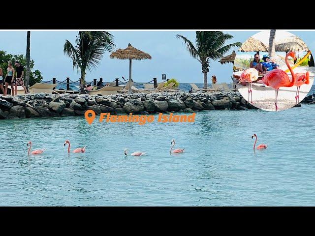 The Best Island Experience: Flamingo Island at Renaissance Resort Aruba