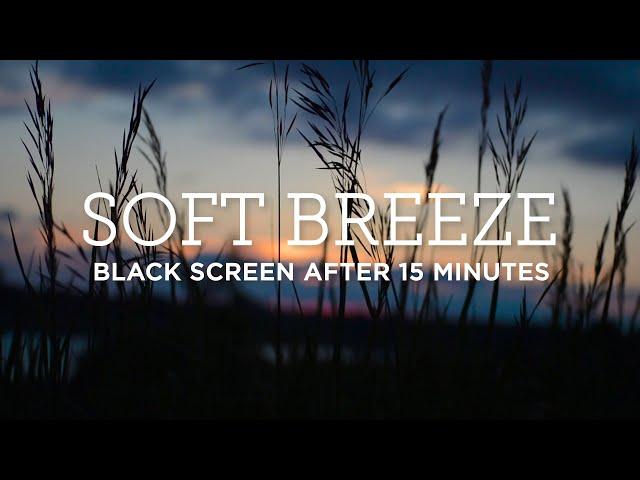 10 HOURS | Nature Sounds | SOFT BREEZE | Sleep, Meditation, Studying, and Relaxation | Black Screen