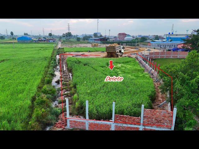 First Starting Project!! Dozer D21P KOMATSU& Skillful Truck Filling Land into Rice Field