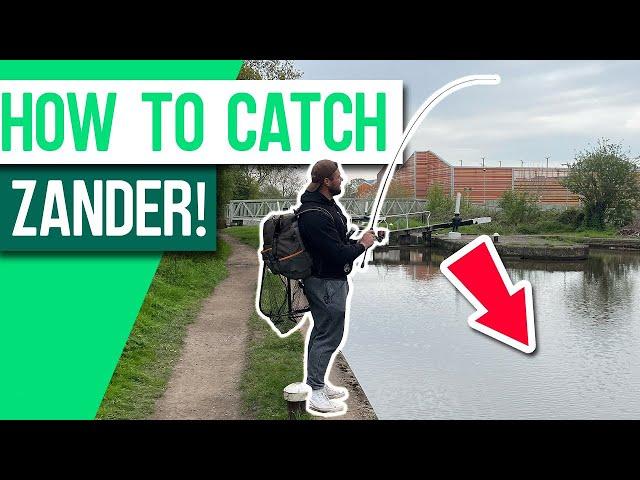 How to Catch Canal ZANDER With Lures!