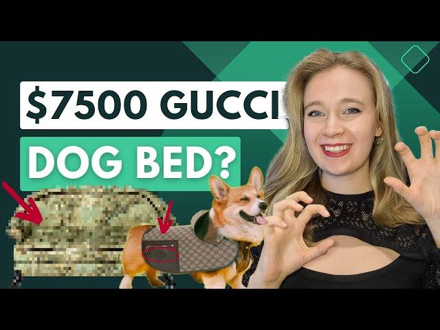 $7500 Gucci dog bed? | Luxury pet accessories