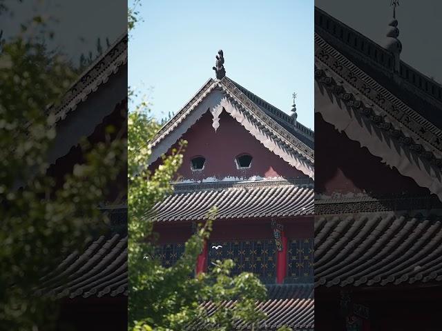 一念放下，万般自在