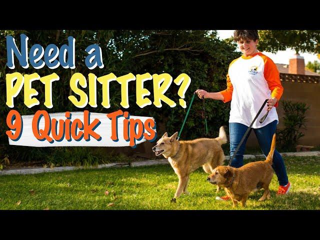 How to Hire a Professional Pet Sitter - Nine Quick Tips