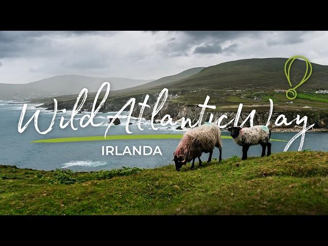 Il lato selvaggio della COSTA ATLANTICA IRLANDESE - Wild Atlantic Way ep1