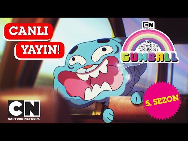 CANLI  GUMBALL | 5. Sezon Tüm Bölümler | Cartoon Network Türkiye