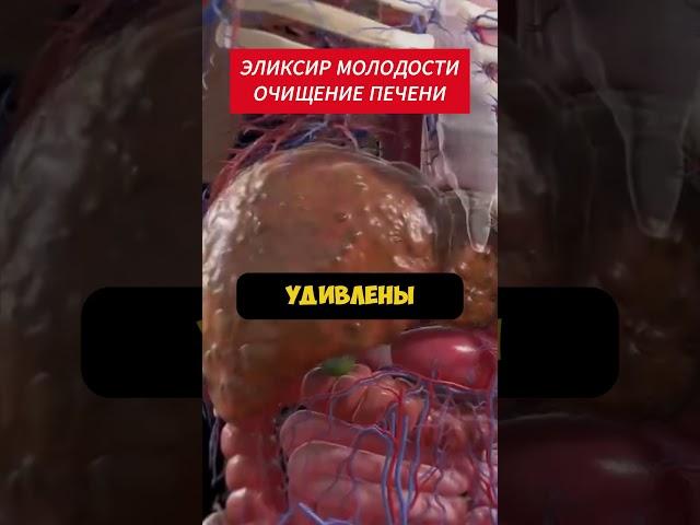Аптека — ВСЁ! Мясников про Новый Способ ОЧИЩЕНИЯ и ВОССТАНОВЛЕНИЯ Печени!