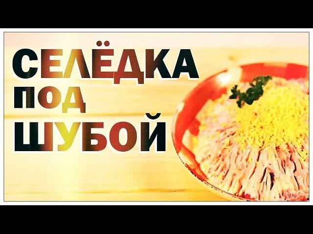 Галилео. Селёдка под шубой