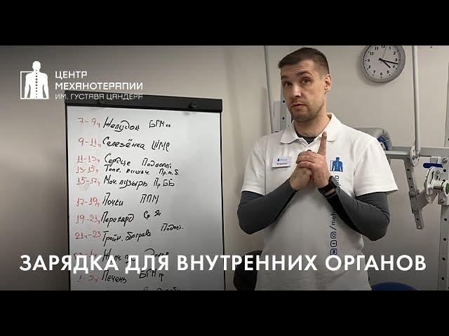 Кинезиологическая зарядка для внутренних органов