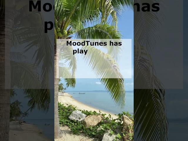 Relaxing Beach Music for Sleep & Meditation | 4K Video
