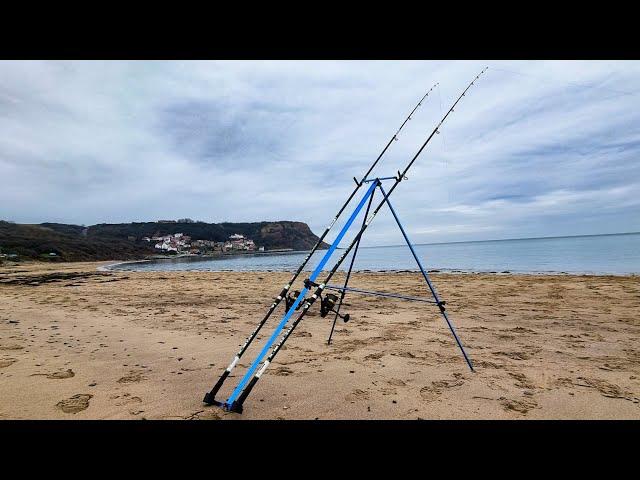 Cod hunt - Runswick Bay - I've never had a session like this!!