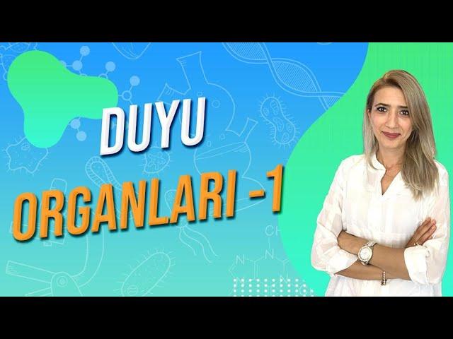 Duyu Organları - 1 | Seda Hoca Biyoloji ( 5. Ders ) #sedahocabiyoloji #ayt2024