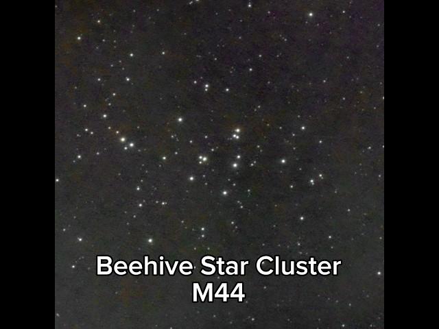 Photographed a star cluster 600 light-years away