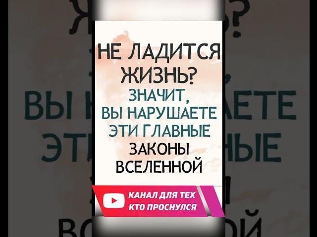 Законы Вселенной. Инструкция к счастливой жизни #аудиокнига  #законы #шейкин  #коны #эзотерика