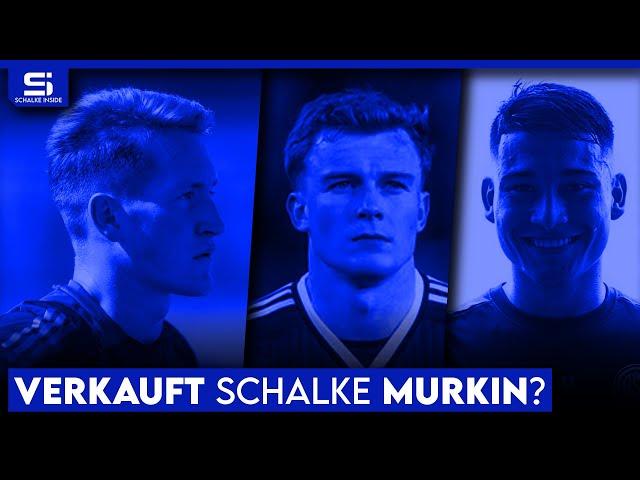 Nur 2 Mio. für Murkin? Holt Schalke Tomás Porra? Weiter 3er-Kette? Hoffmann neue Nummer 1! S04 NEWS